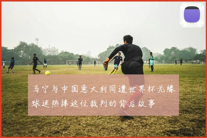 马宁与中国意大利同遭世界杯无缘球迷热捧这位裁判的背后故事